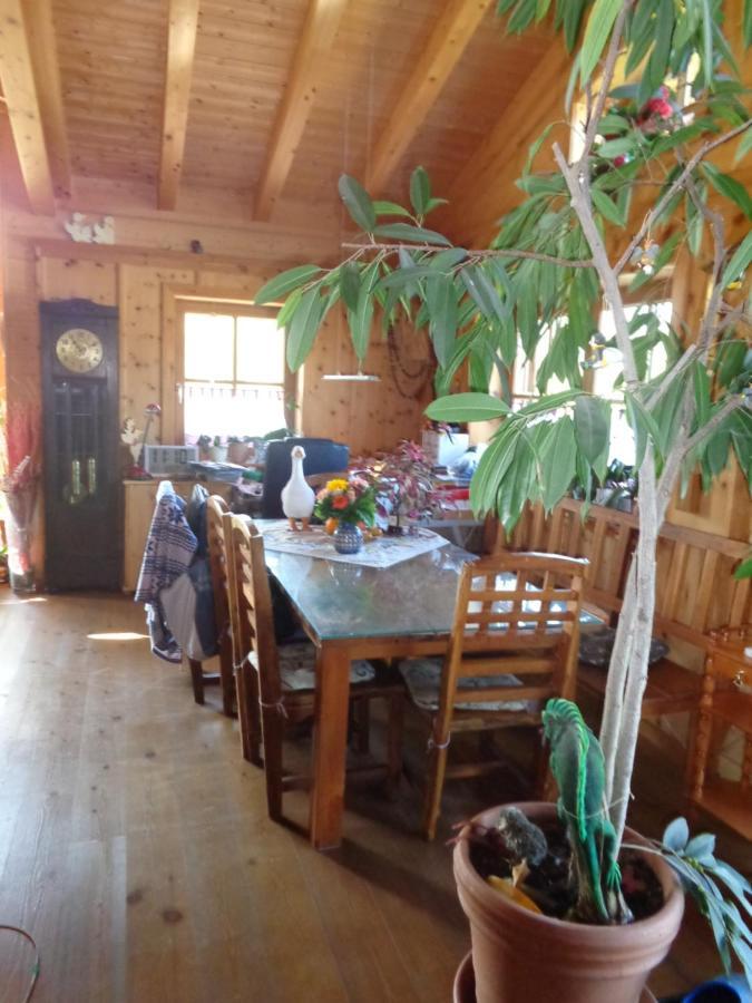 Barrierefreies Zimmer Im Blockhaus Mit Sauna Am See Soyen Esterno foto